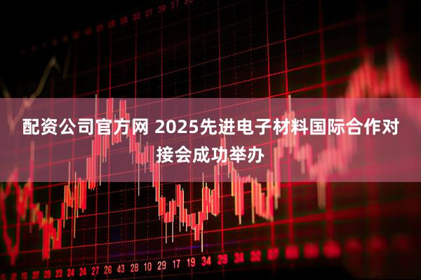 配资公司官方网 2025先进电子材料国际合作对接会成功举办
