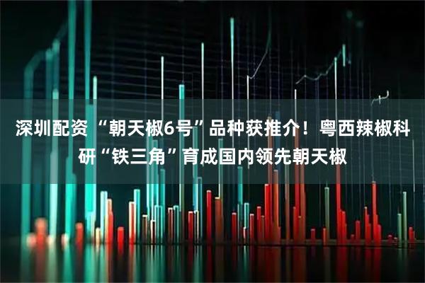 深圳配资 “朝天椒6号”品种获推介！粤西辣椒科研“铁三角”育成国内领先朝天椒