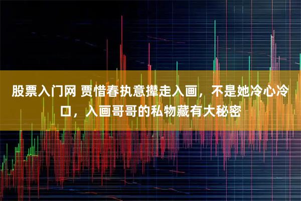 股票入门网 贾惜春执意撵走入画，不是她冷心冷口，入画哥哥的私物藏有大秘密